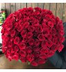 101 красная роза, 60 см