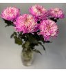 Хризантема одноголовая розовая «Магнум»
