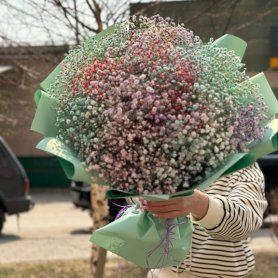 Букет из 25 Гипсофилы «Радужный» от интернет-магазина «Цветы для души» в Новосибирске