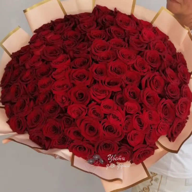 Красные розы «101 поцелуй»