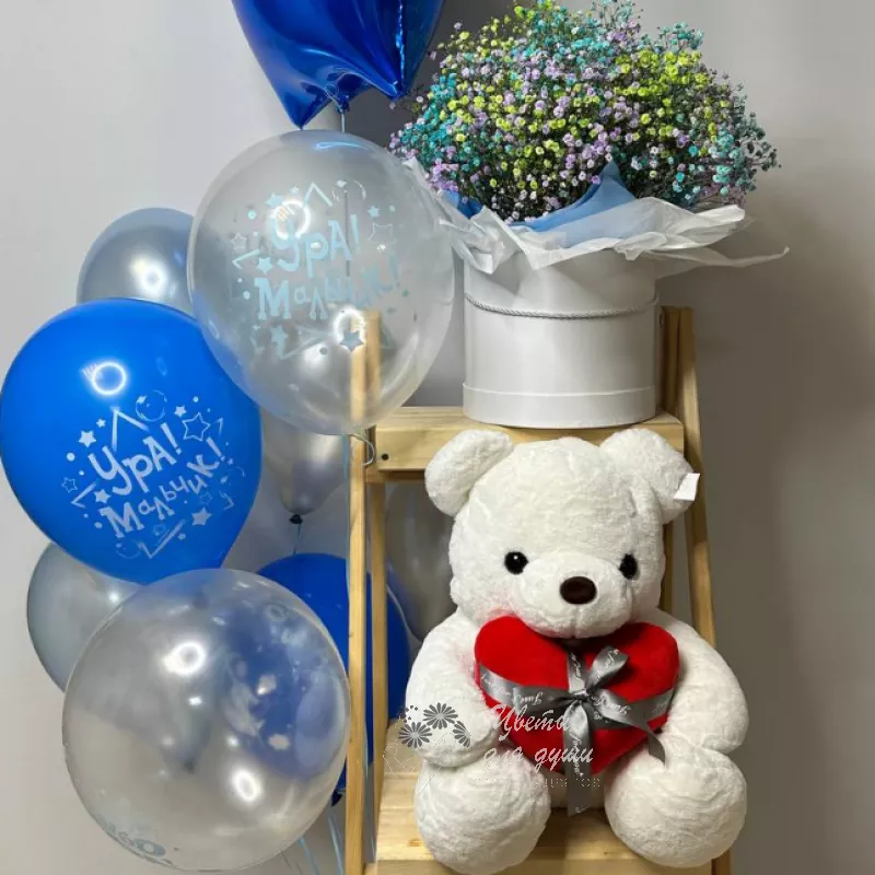 Комбо « На выписку Мальчик»