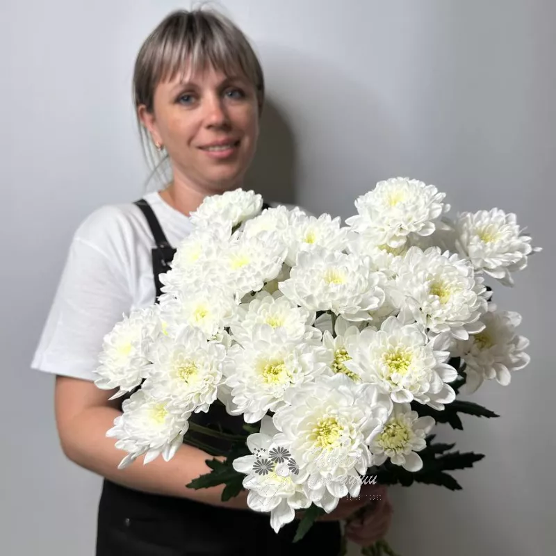 Монобукет из 5 белых хризантем «Комплимент»