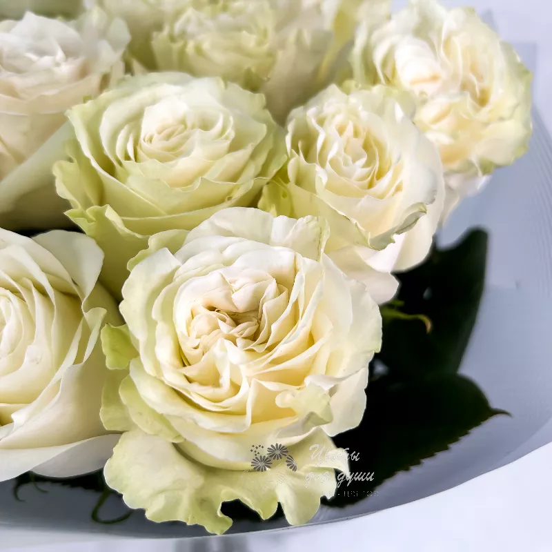 Букет белых роз «Амелия» 1