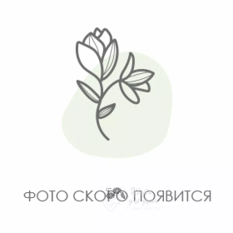 Букет &laquo; Любовь&raquo; 1