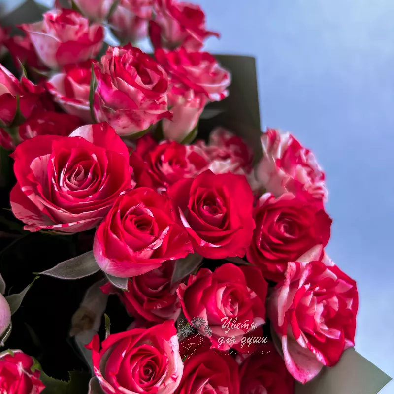 Букет розовых кустовых роз «Симфония» 2