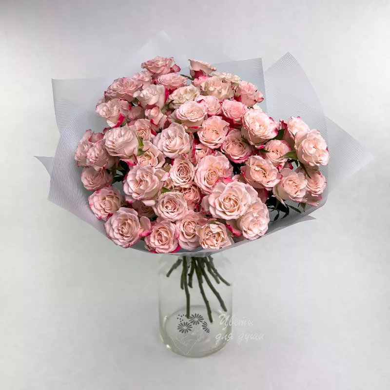 Розовые кустовые розы «Пудра»
