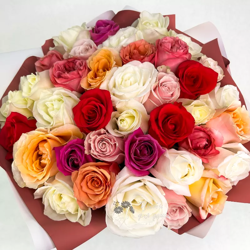 Разноцветные розы «Софи» 1