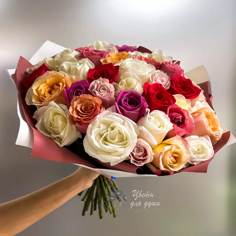 Разноцветные розы «Софи» 3