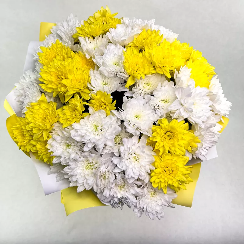 Белые и желтые кустовые хризантемы 1