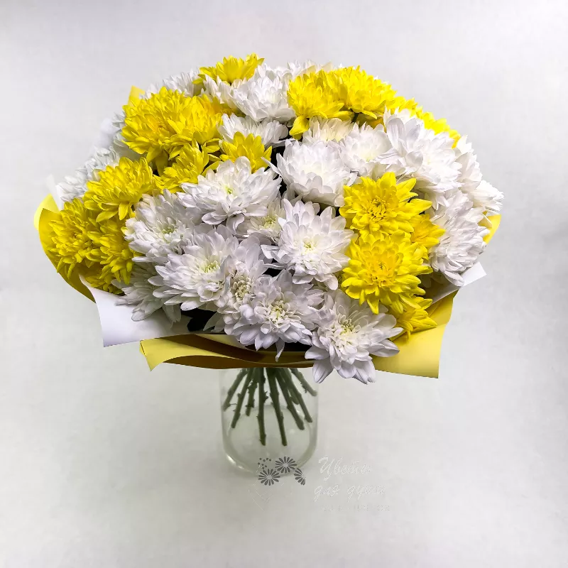 Белые и желтые кустовые хризантемы