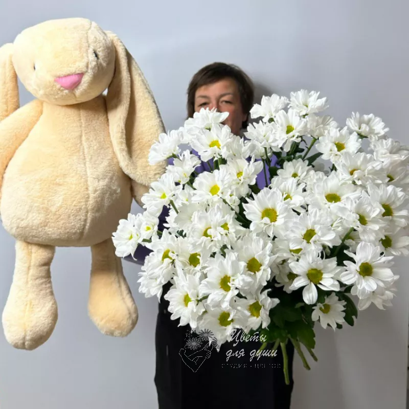 Комбо-предложение 7 хризантем «Привет»