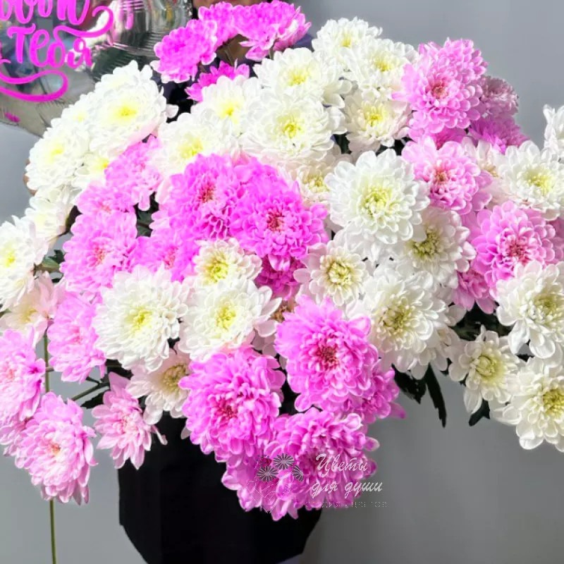  15 хризантем «С любовью для тебя»